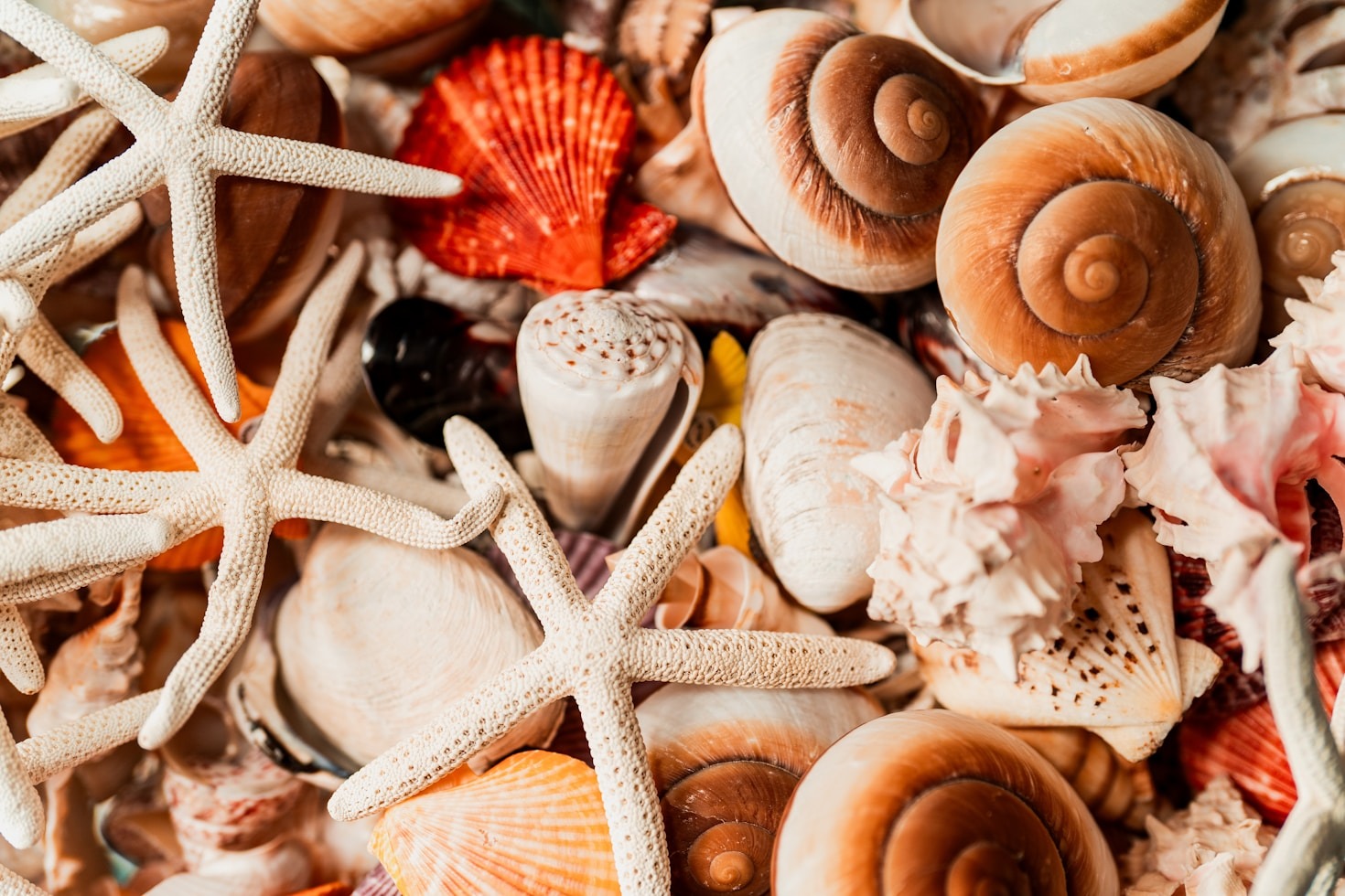 Top Trends in Ocean-Inspired Interior Decor